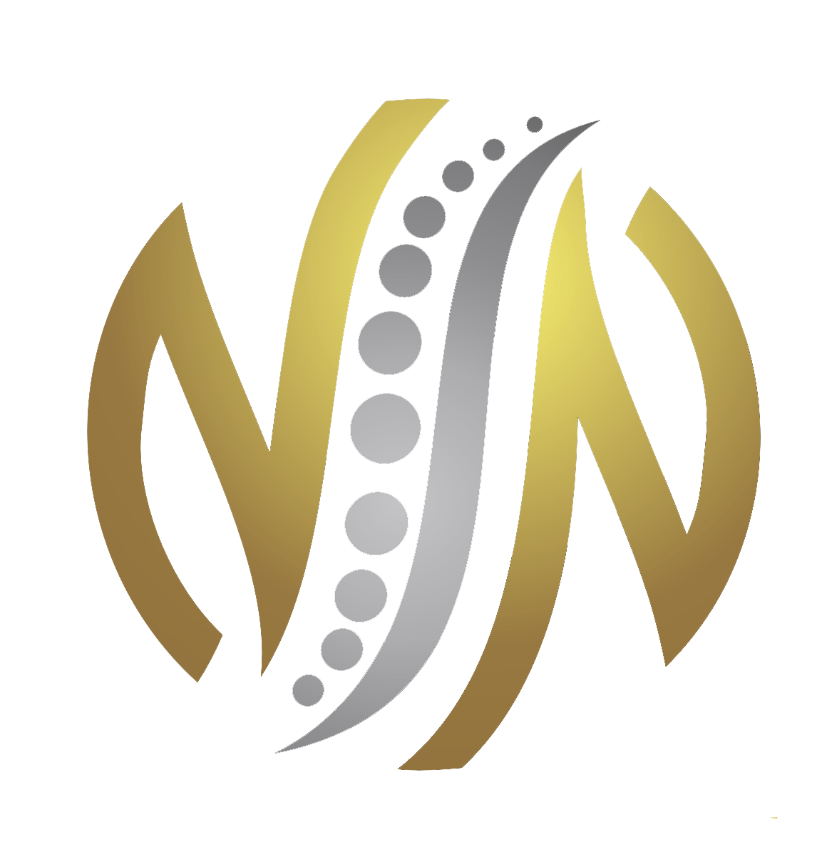 nnspine logo